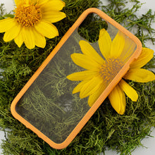 Load image into Gallery viewer, Clear Eco-Friendly iPhone XR Case with Cantaloupe Ridge